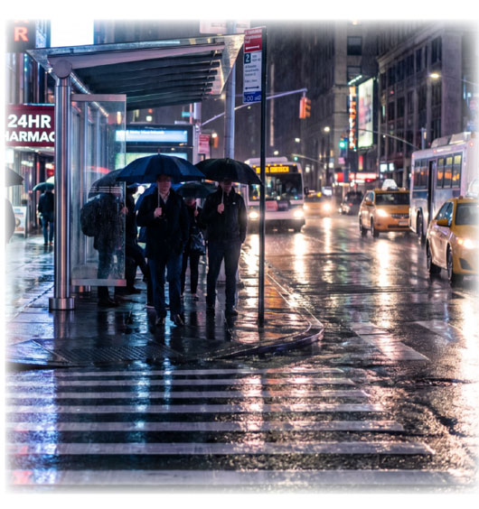 PEDSight is Ideal for Busy Metro Transit Hubs